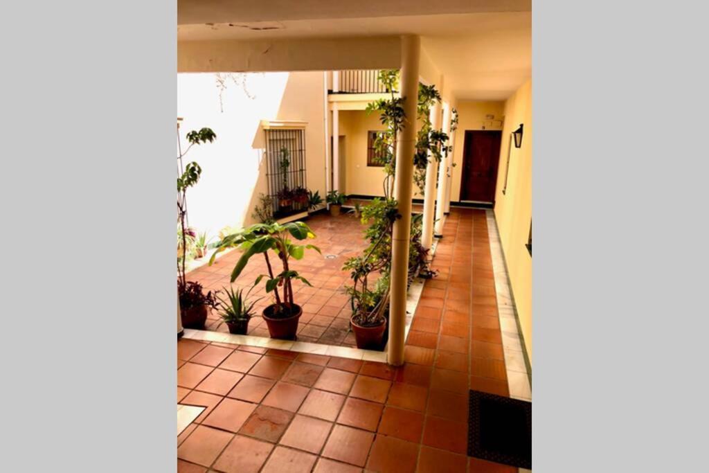 Gatu Villa Palma, Aire Acc Y Confort En El Centro Historico, " Preferente Mayores De 25 Anos Y Familias " El Puerto de Santa Maria Exterior photo